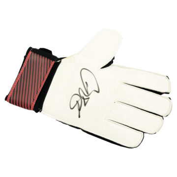 Signed Petr Cech Goalkeeper Glove - Premier League Winner 2005