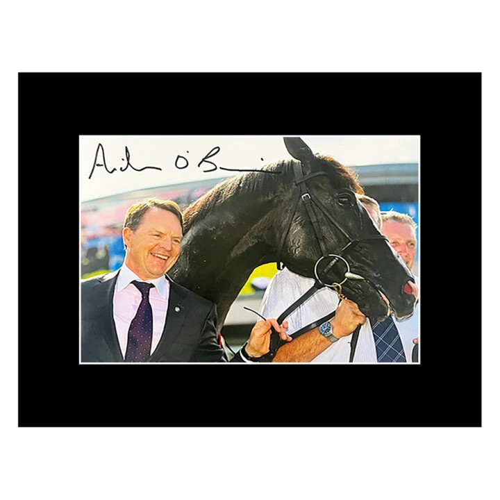 Autograph Aidan O'Brien Photo Display 16x12 - Horse Racing Icon